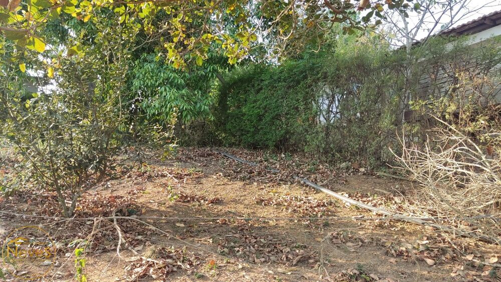 Terreno, 1209 m² - Foto 2