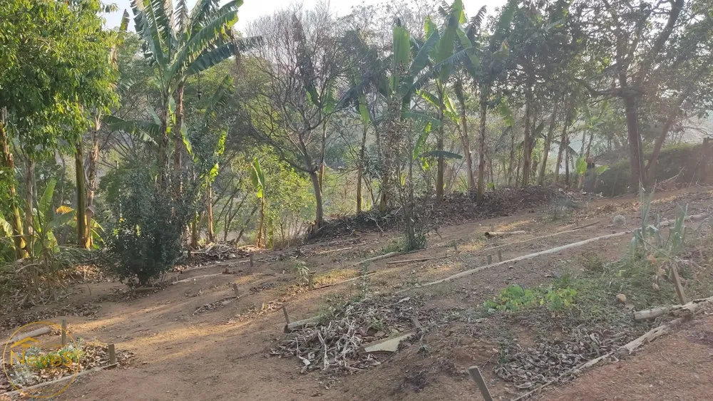 Terreno, 1209 m² - Foto 5
