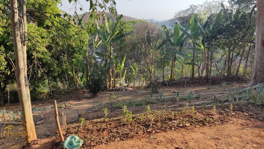 Terreno, 1209 m² - Foto 5