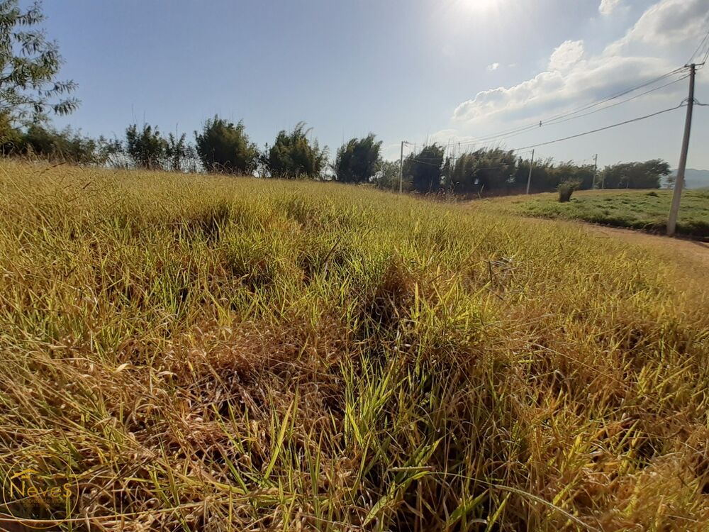 Terreno, 759 m² - Foto 3