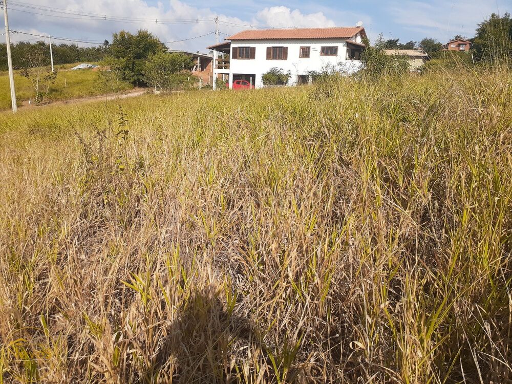 Terreno, 759 m² - Foto 7