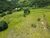 Terreno, 720 m² - Foto 5