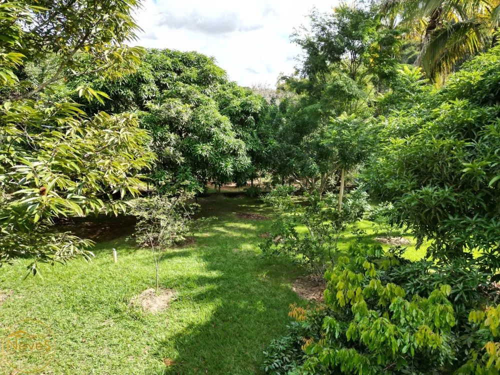 Casa, 3 quartos - Foto 41