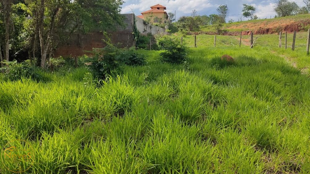 Terreno, 525 m² - Foto 3
