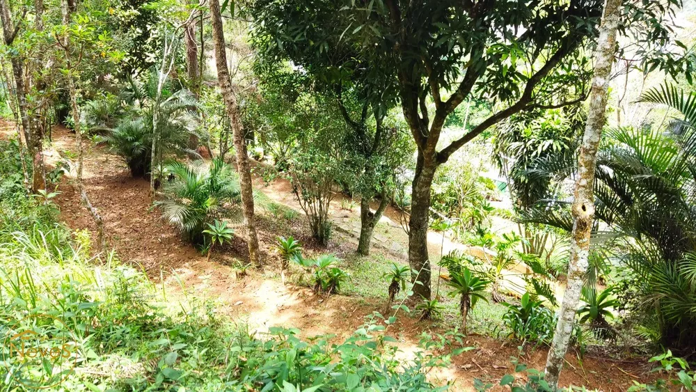 Sítio, 3 quartos, 3556 m² - Foto 35