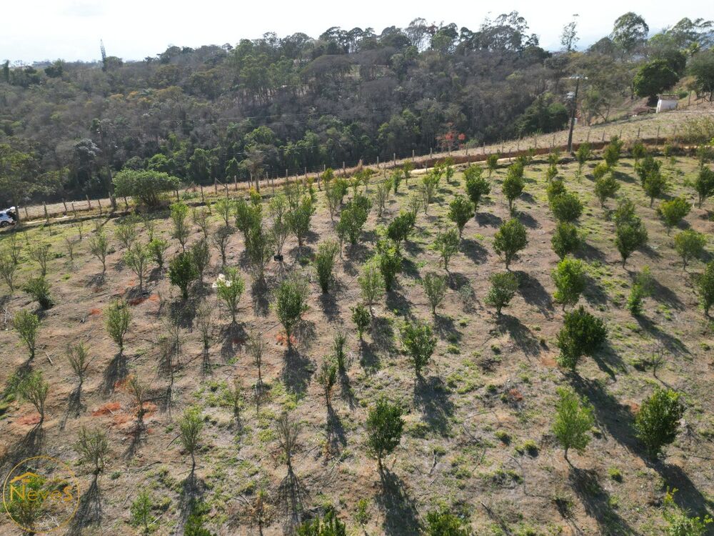 Terreno, 450 m² - Foto 4