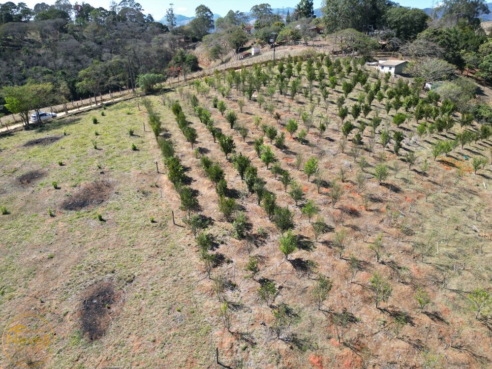 Terreno, 450 m² - Foto 3