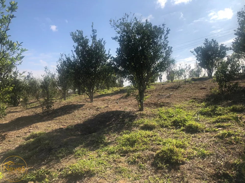 Terreno, 450 m² - Foto 14