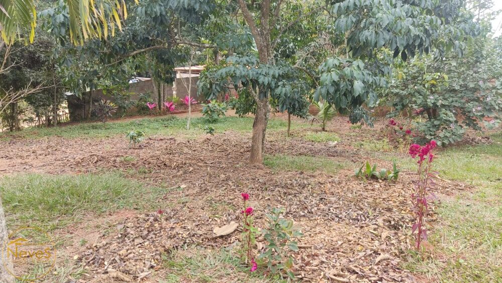 Casa, 1 quarto - Foto 19