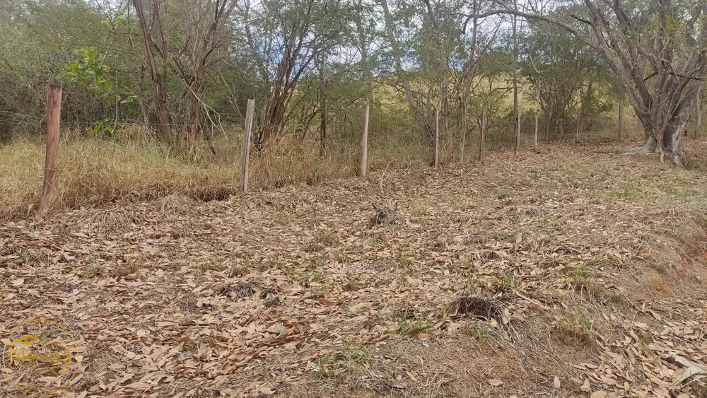 Sítio, 2 quartos, 6329 m² - Foto 23