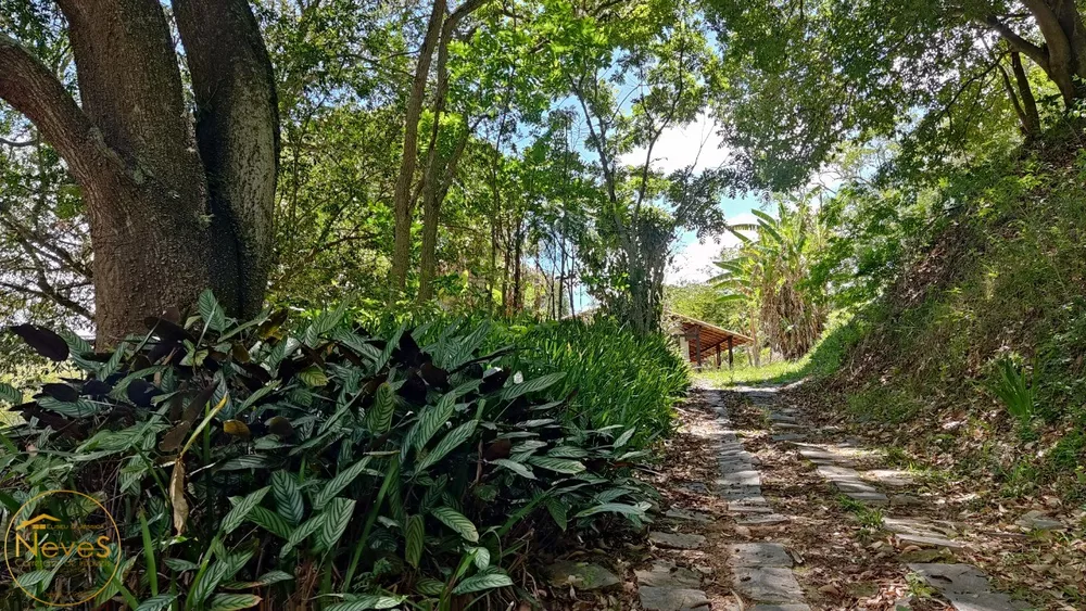 Sítio, 2 quartos, 6329 m² - Foto 6