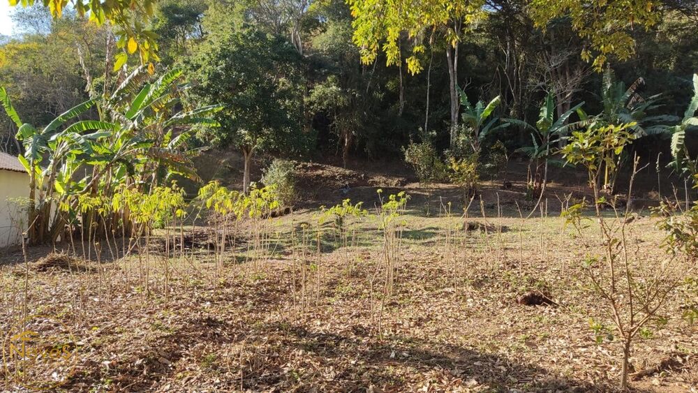 Terreno, 779 m² - Foto 2