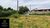 Terreno, 2852 m² - Foto 3