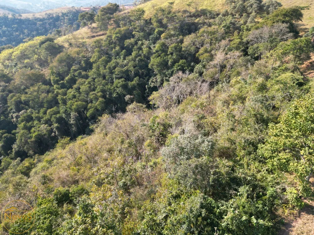 Terreno, 12 hectares - Foto 28