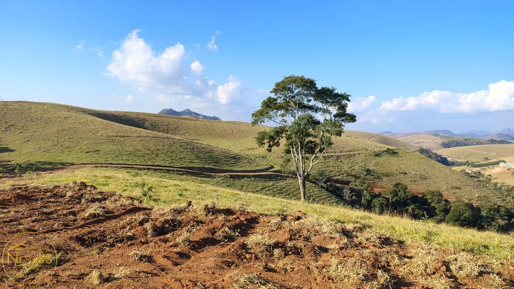 Terreno, 12 hectares - Foto 6
