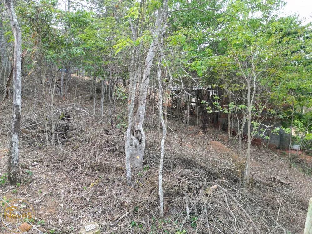 Terreno, 980 m² - Foto 3
