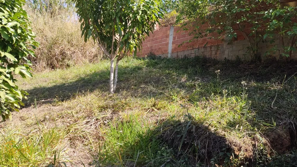 Casa, 5 quartos - Foto 36