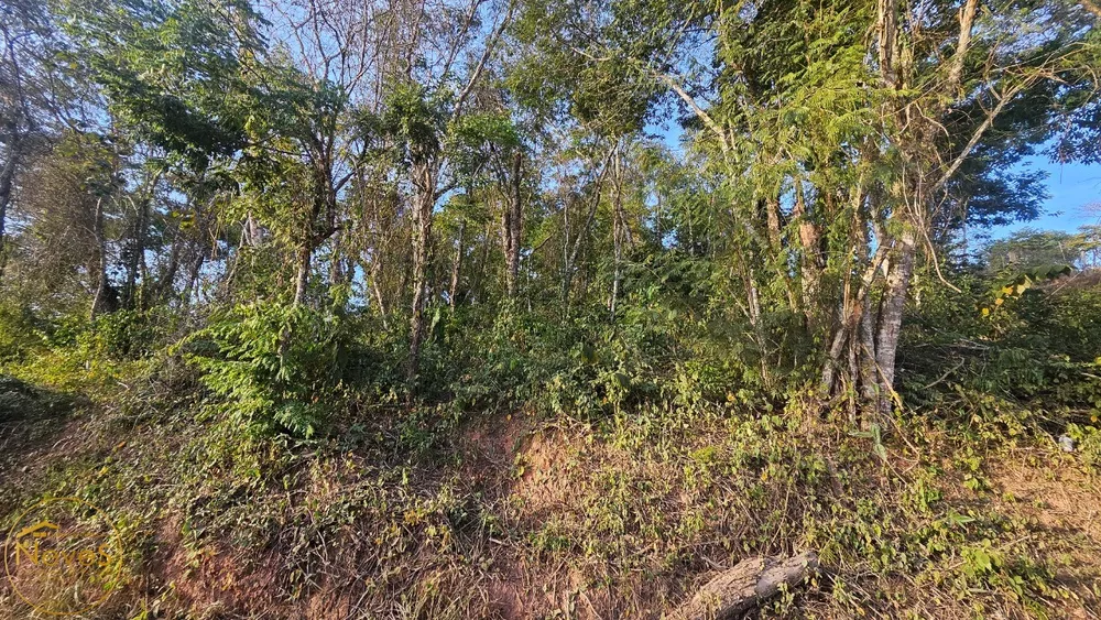 Terreno, 1100 m² - Foto 3