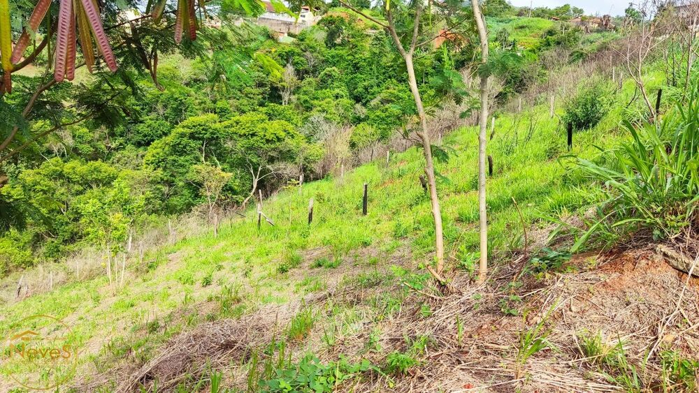 Terreno, 645 m² - Foto 6