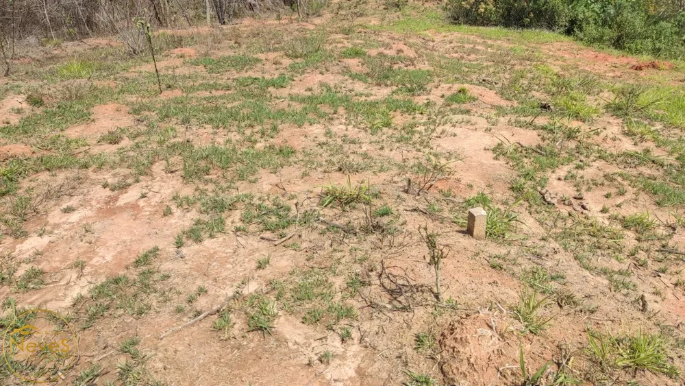 Sítio, 3 quartos, 4885 m² - Foto 28