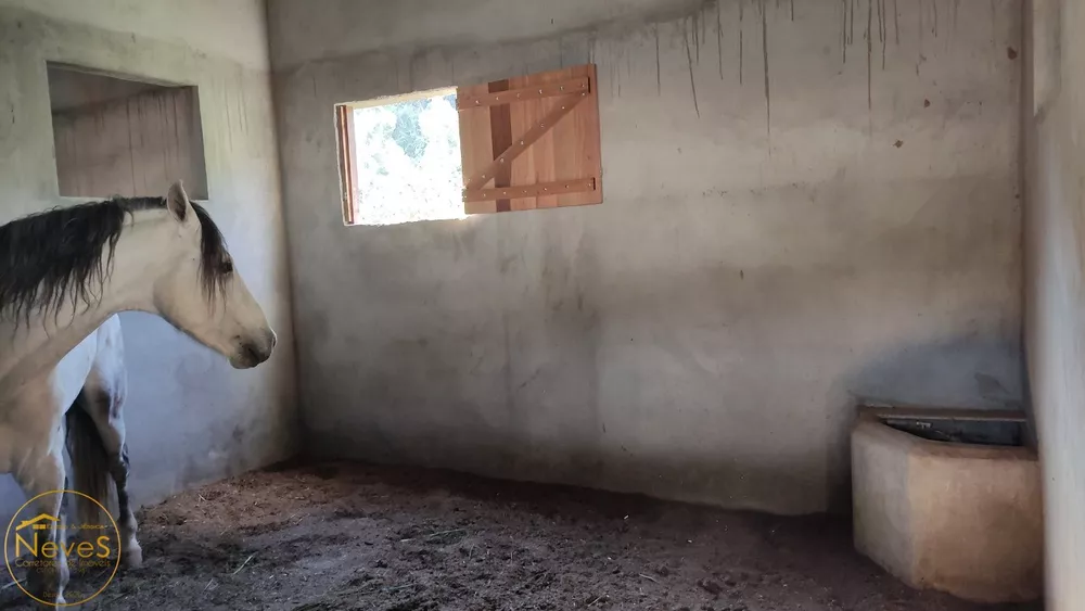 Sítio, 6 quartos - Foto 19