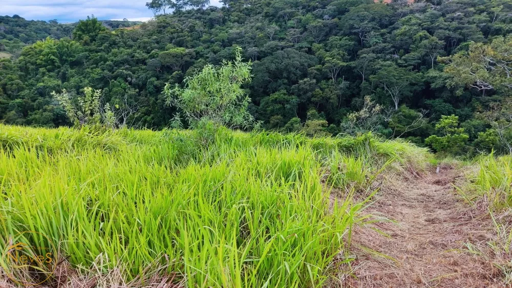 Terreno, 835 m² - Foto 12