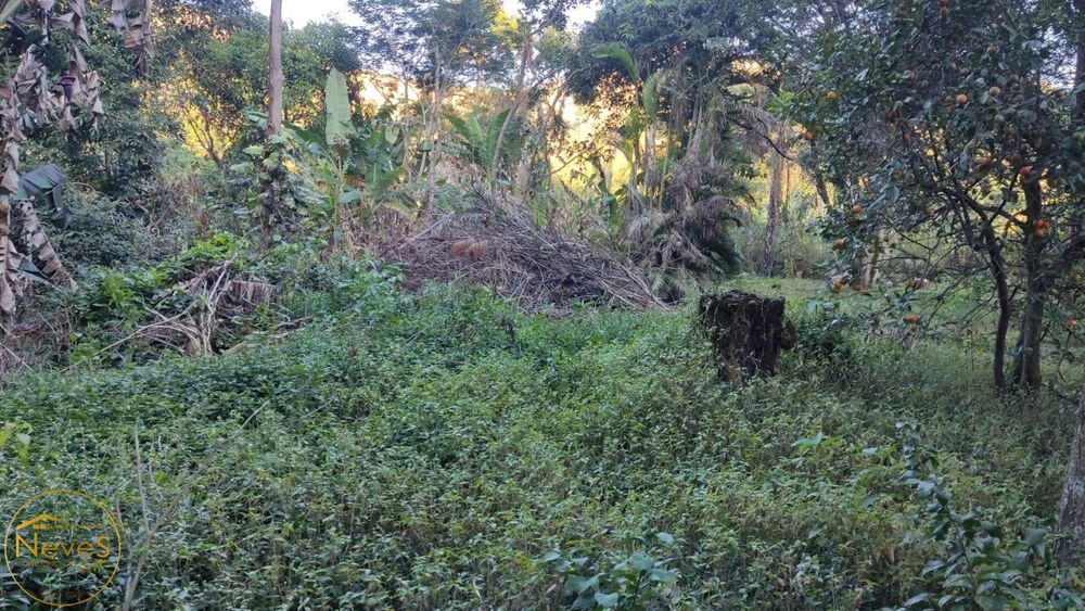 Terreno, 420 m² - Foto 3