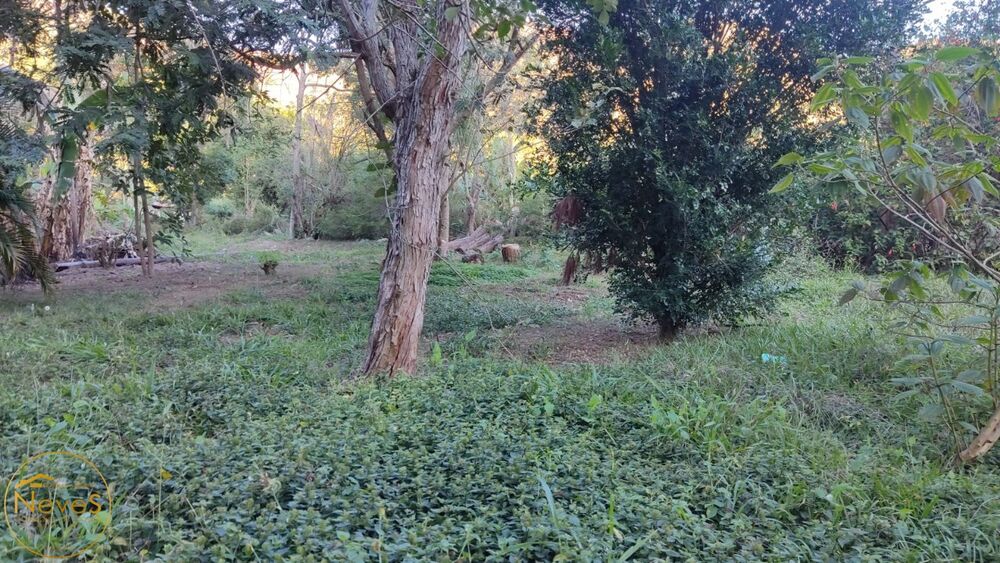 Terreno, 420 m² - Foto 12