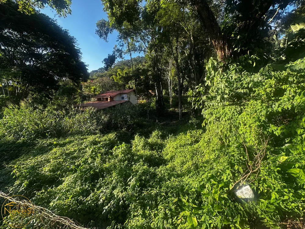 Terreno, 1000 m² - Foto 3