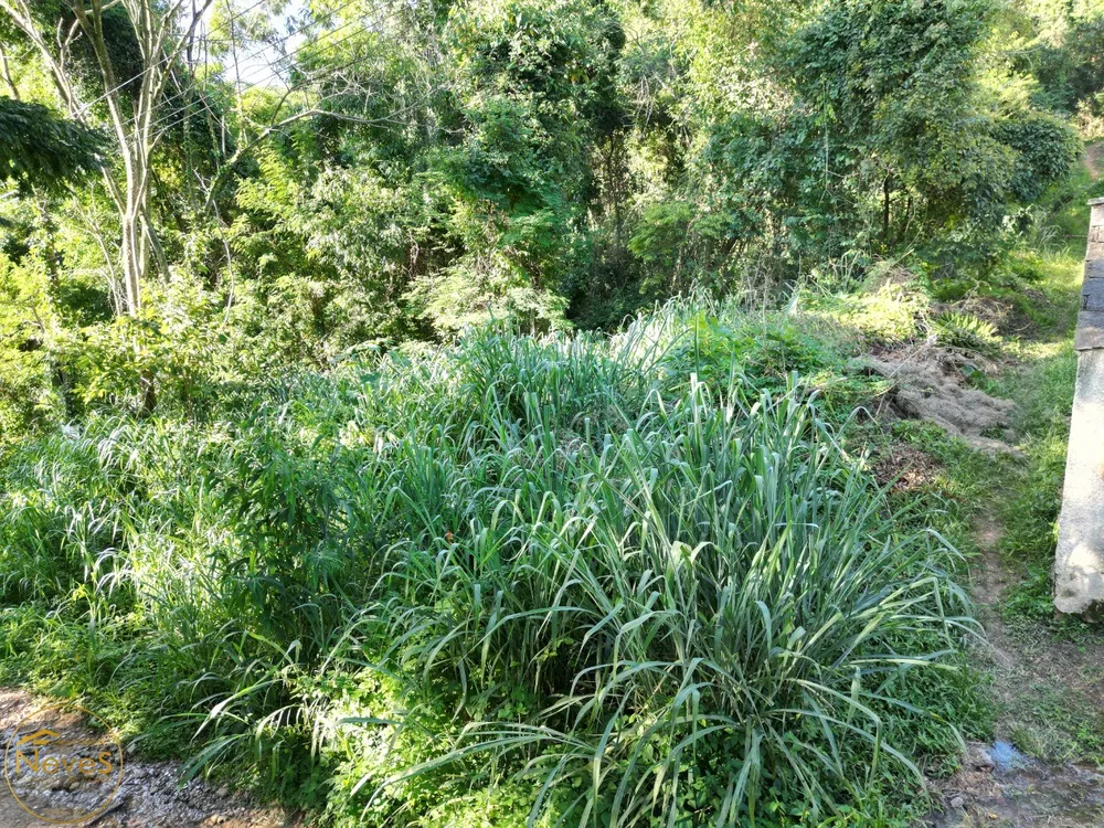 Terreno, 1000 m² - Foto 3