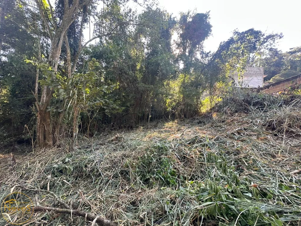 Terreno, 1000 m² - Foto 7