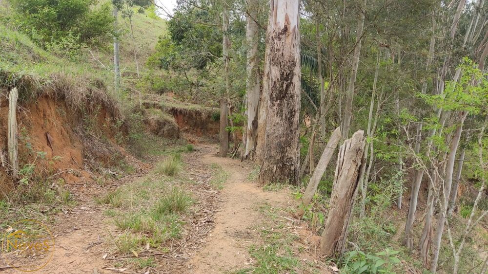 Terreno, 12 hectares - Foto 24