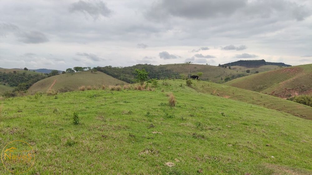 Terreno, 12 hectares - Foto 31