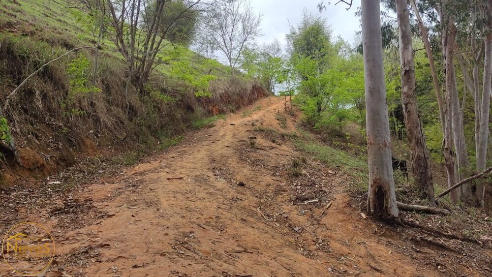 Terreno, 12 hectares - Foto 42