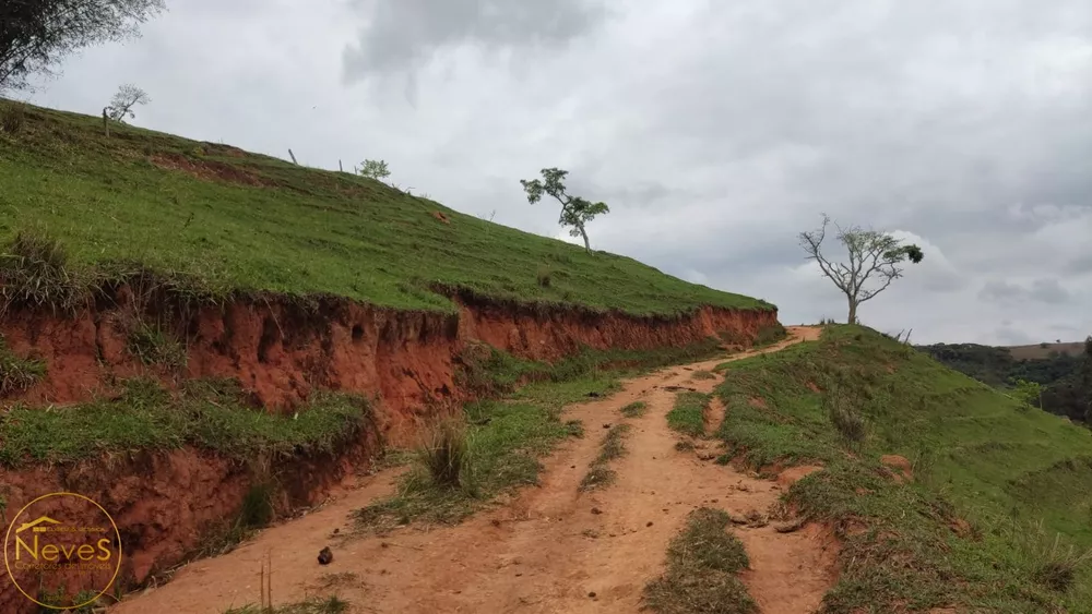 Terreno, 12 hectares - Foto 19