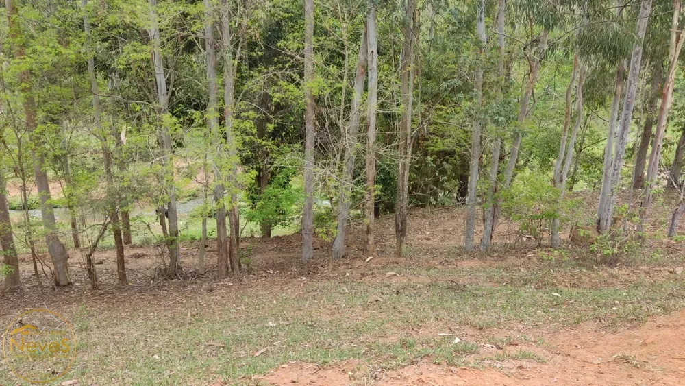Terreno, 12 hectares - Foto 34