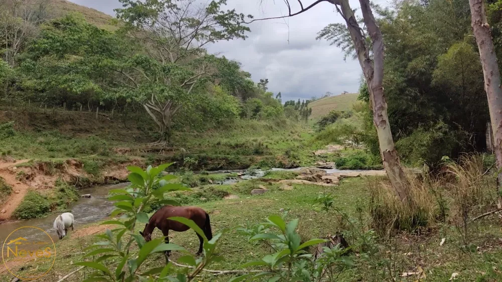 Terreno, 12 hectares - Foto 4