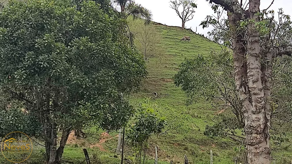 Terreno, 12 hectares - Foto 26