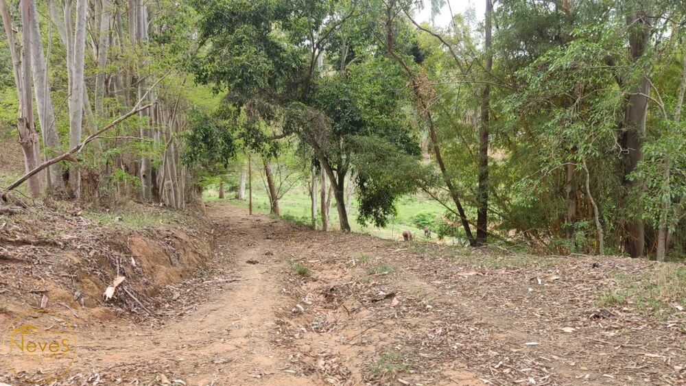 Terreno, 12 hectares - Foto 46