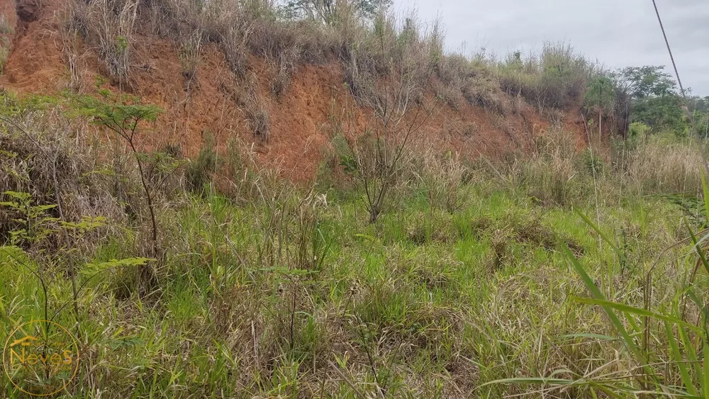 Terreno, 1000 m² - Foto 6