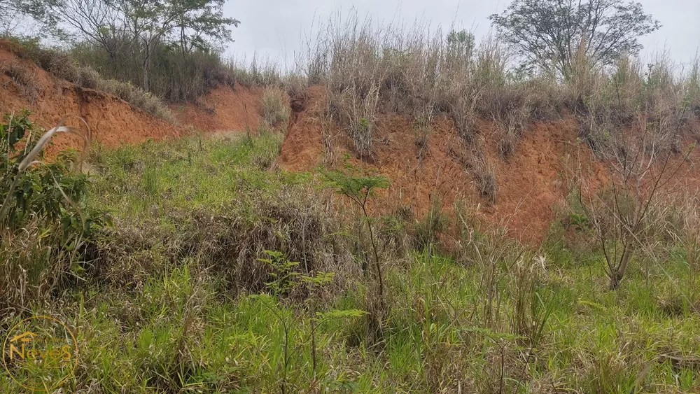 Terreno, 1000 m² - Foto 3