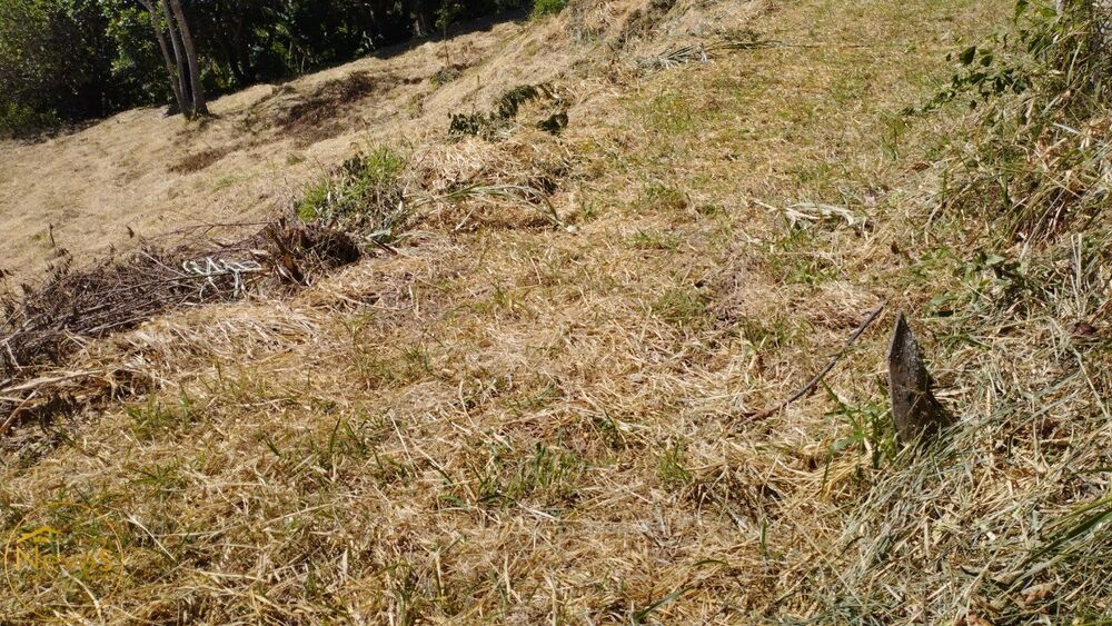 Terreno, 1595 m² - Foto 6