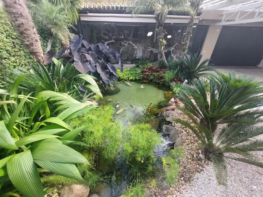 Casa, 4 quartos, 650 m² - Foto 1