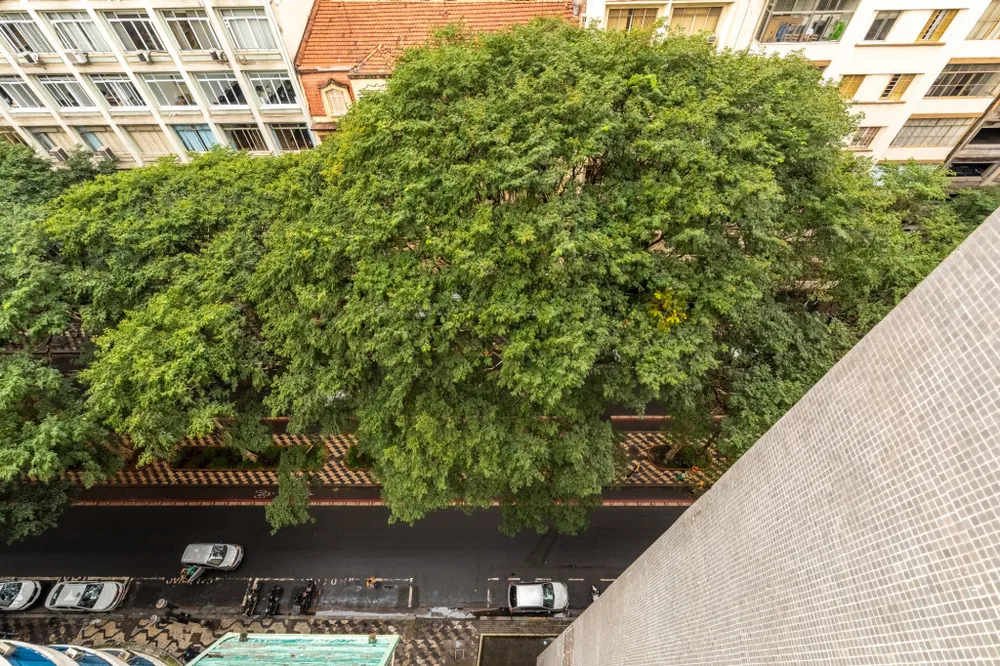 Apartamento, 4 quartos, 238 m² - Foto 5