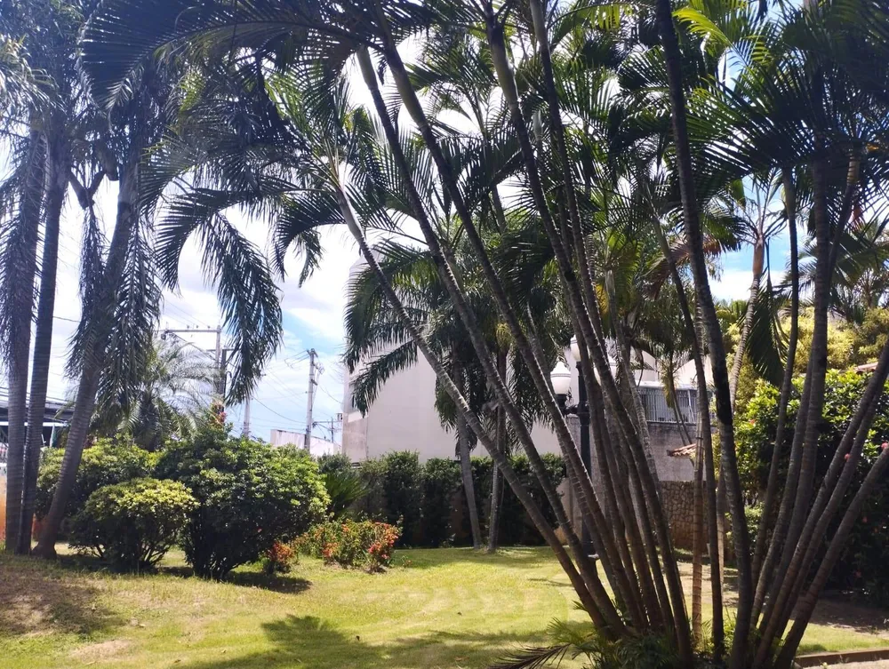 Casa, 3 quartos, 500 m² - Foto 3