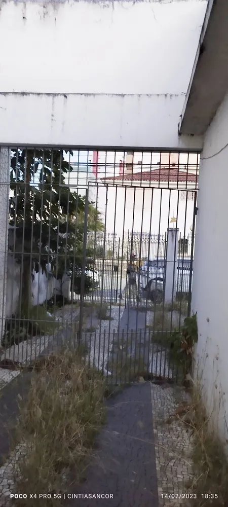 Casa, 4 quartos, 300 m² - Foto 7