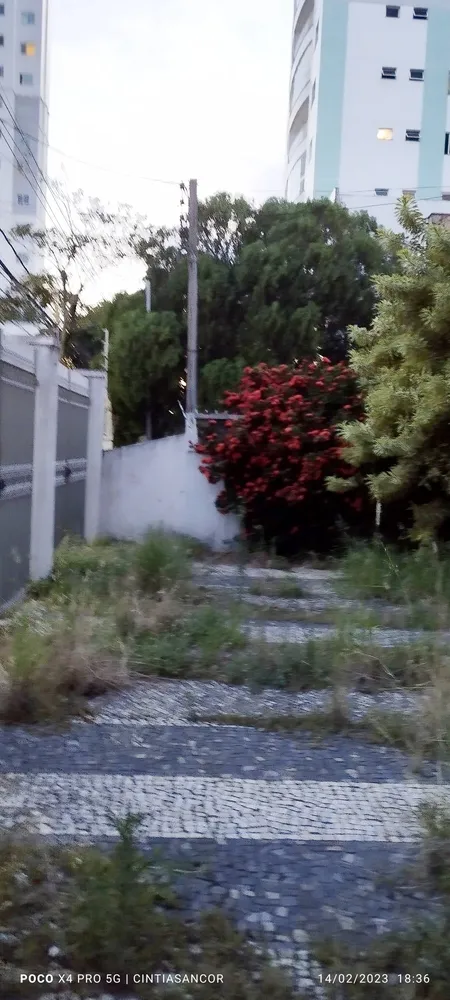 Casa, 4 quartos, 300 m² - Foto 3
