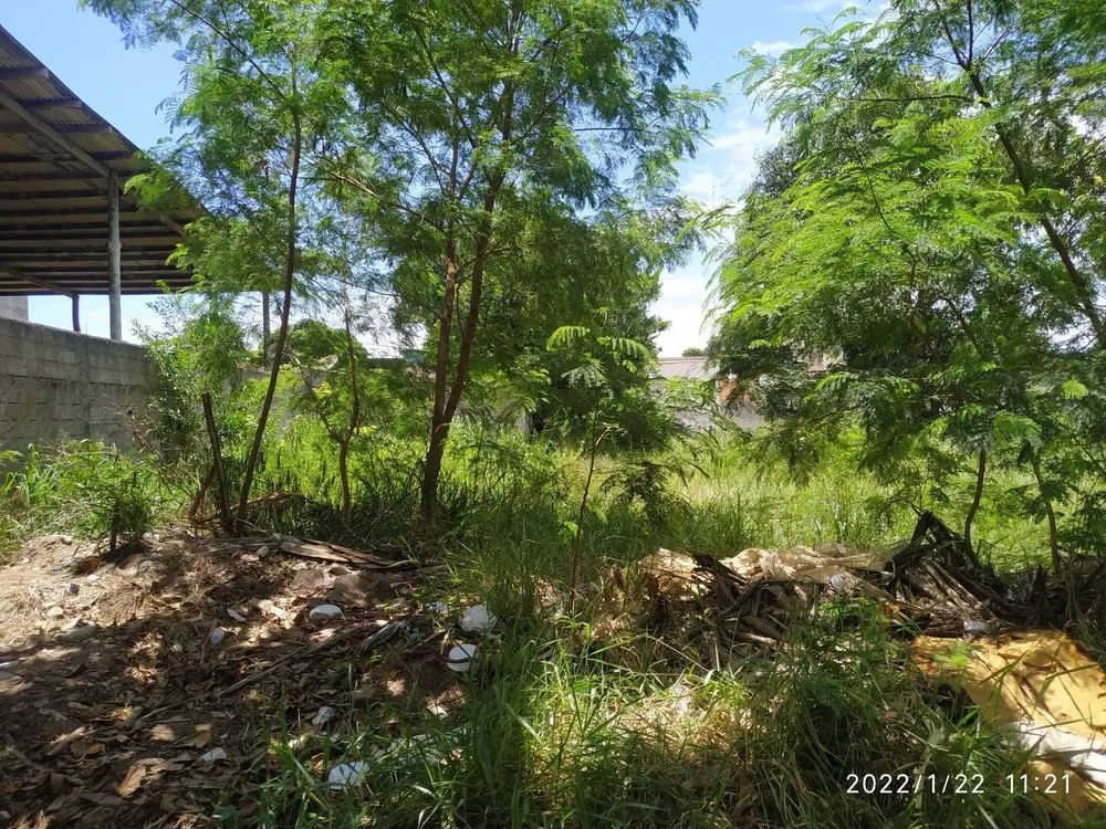 Terreno - Foto 2