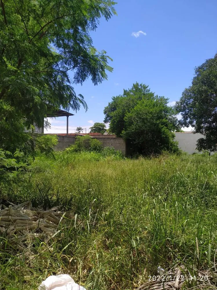 Terreno - Foto 4
