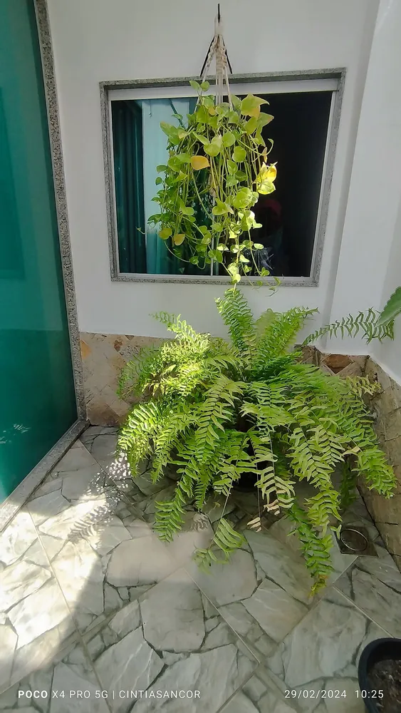 Casa, 2 quartos, 80 m² - Foto 7